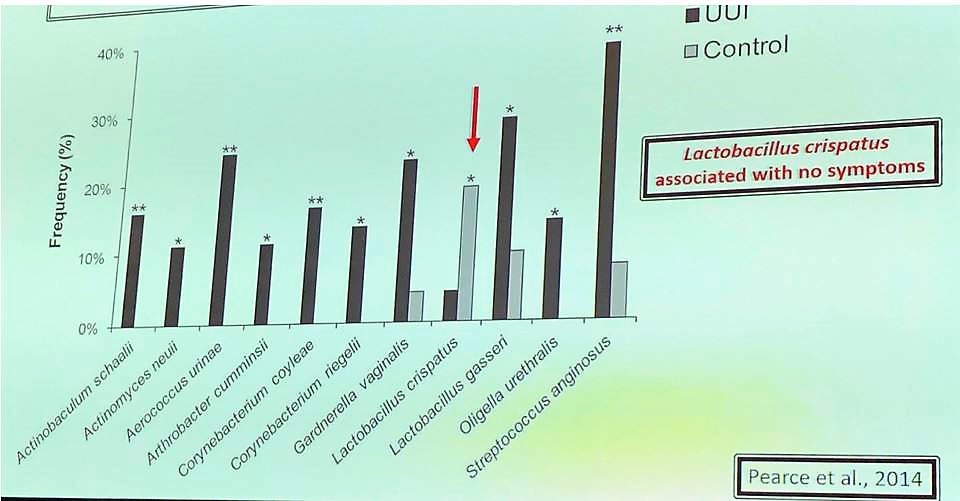 AUA 2019 Lactobacillus crispatus lack of UUI Figure 1