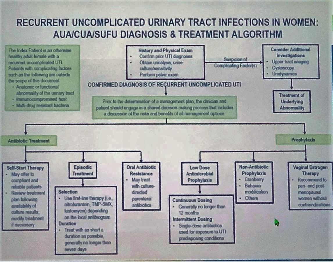 AUA 2019 diagnosis and treatment algorithm