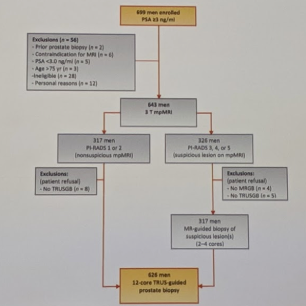 UroToday ESOU19 van der Leest et al