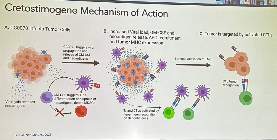 5_cretostimogene_mechanism_of_action.png