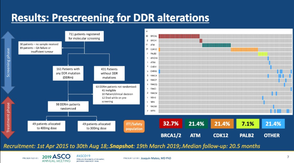 ASCO2019_DDR_alterations.png