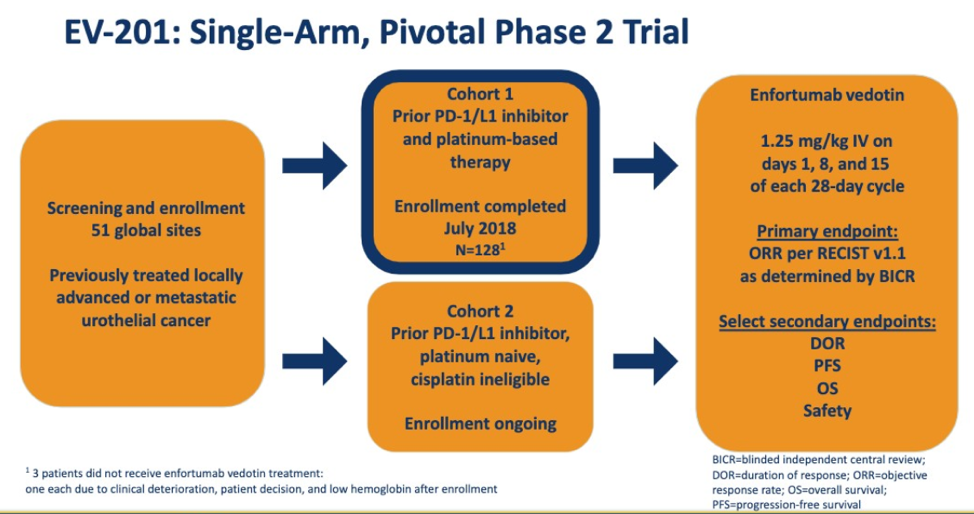 ASCO2019_EV201piviotlphase2trial_6.png