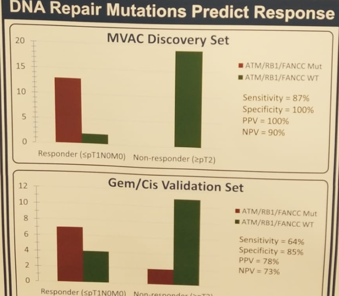 ASCO2019_Figure1_DNAMutationsPredictResponse.png