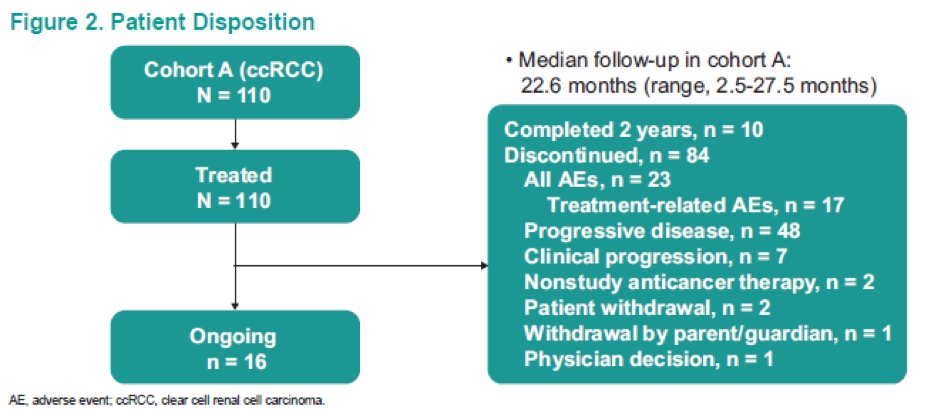ASCO2019_KEYNOTE-427_Figure2_PatientDisposition.png