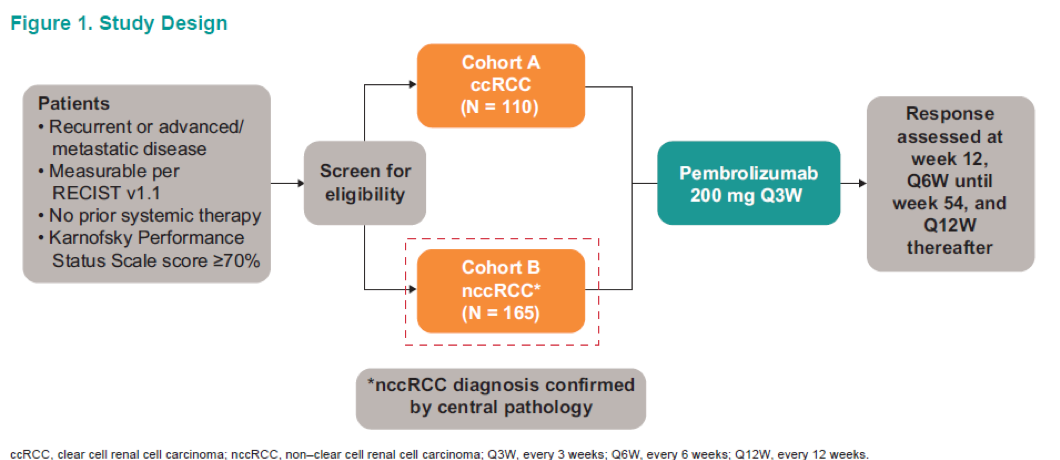 ASCO2019_KEYNOTE-427_StudyDesign.png