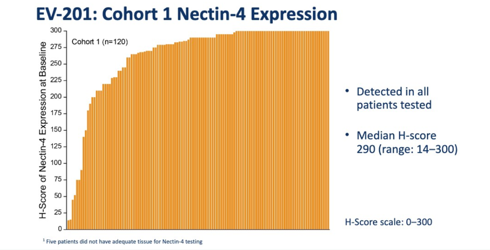 ASCO2019_cohort1nectin-4_6.png