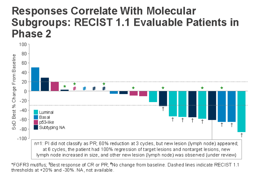 ASCO2019_evaluable_patients.png