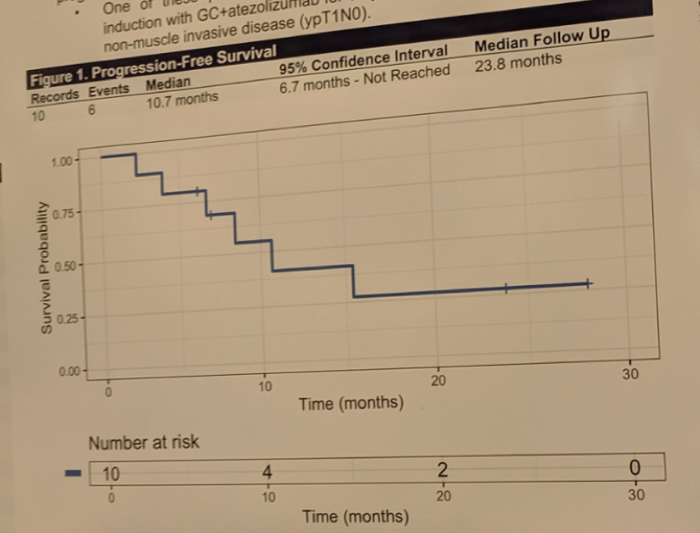 ASCO2019_figure1progressionfree_poster385.png