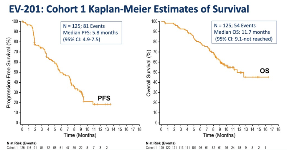 ASCO2019_kaplan-meier_6.png