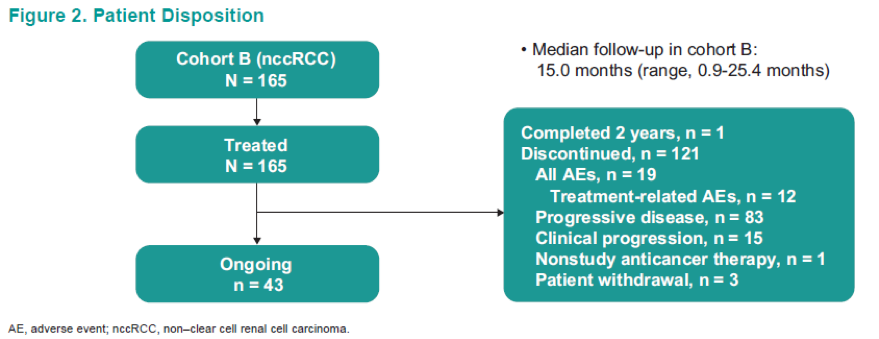 ASCO2019_patientdisposition_abstract4569.png