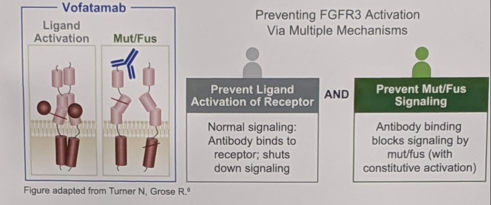 ASCO2019_vofatamab.png