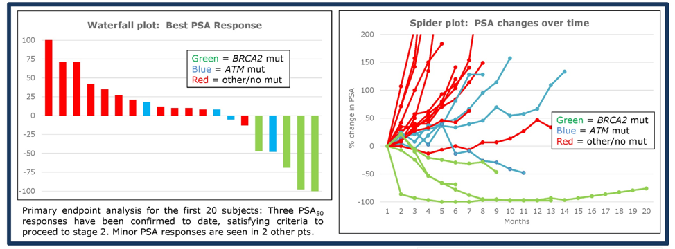 ASCO2019_waterfallplot_poster157.png
