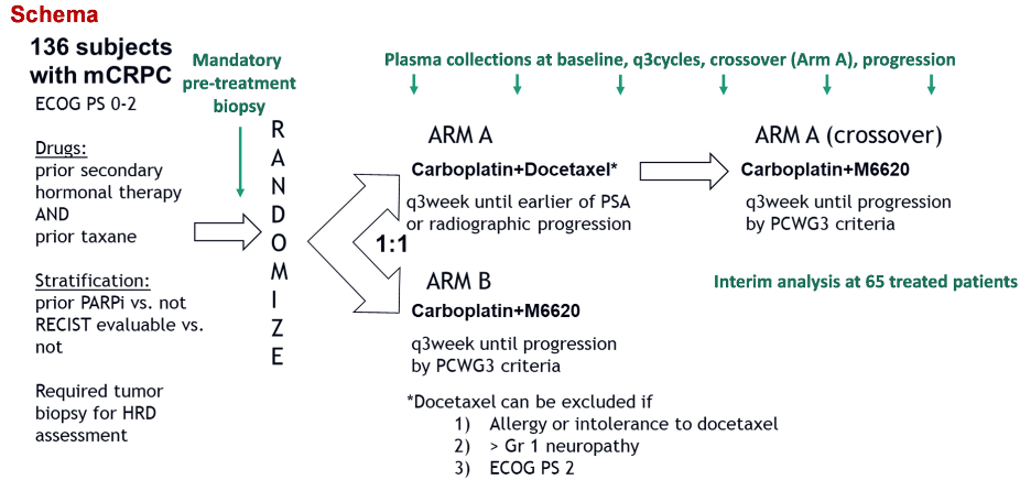 ASCO2020_M6620_inComboCarboplatin.png