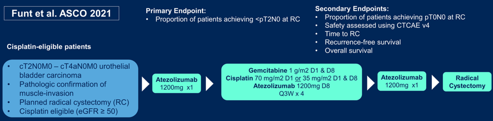 ASCO2021_Faltas_1.png