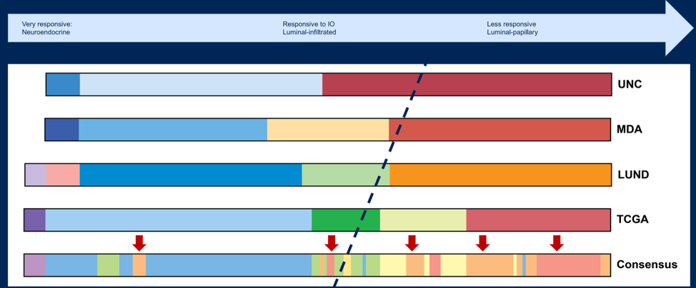 ASCO2021_Faltas_7.png