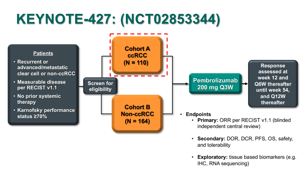 ASCO20_KEYNOTE-427.png