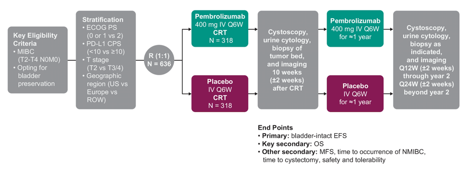 ASCO20_KEYNOTE-992.png