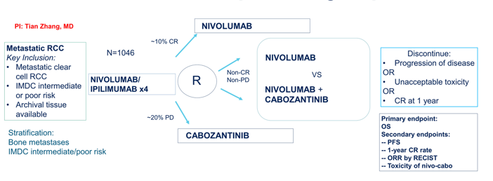 ASCO21_Apolo_RCC_10.png