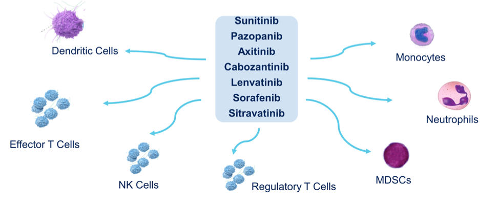 ASCO21_Apolo_RCC_2.png