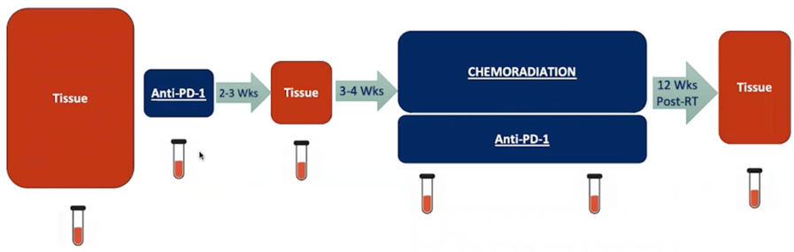 ASCO21_Balar_Pembro_2.png