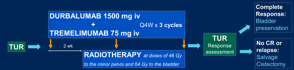 ASCO21_Garcia_del_Muro_IMMUNOPRESERVE-SOGUG_1.png