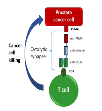 ASCO21_deBono_figure1.png
