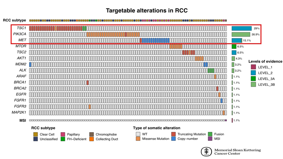 ASCOGU_RCC_Alterations_MSKCC.png