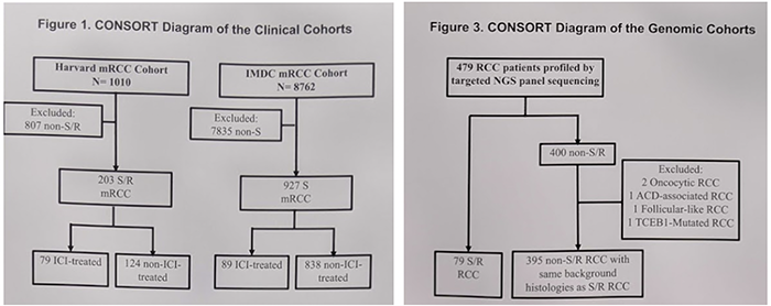 ASCO 19 - ICI.png
