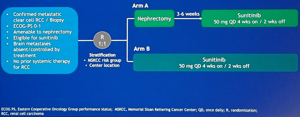 ASCO 2019_CARMENA_1.png