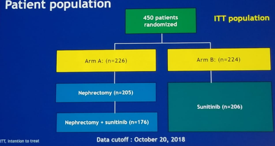ASCO 2019_CARMENA_2.png
