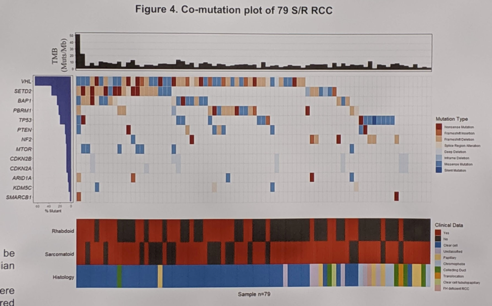 ASCO 2019_Loriot_5.png