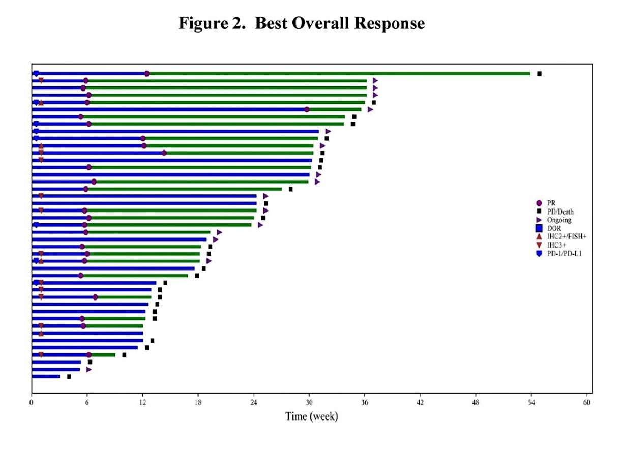 ASCO 2019 RC48 best overall response