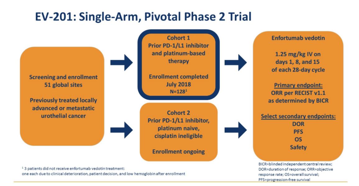ASCO 2019 EV 201 pivotal phase 2 trial