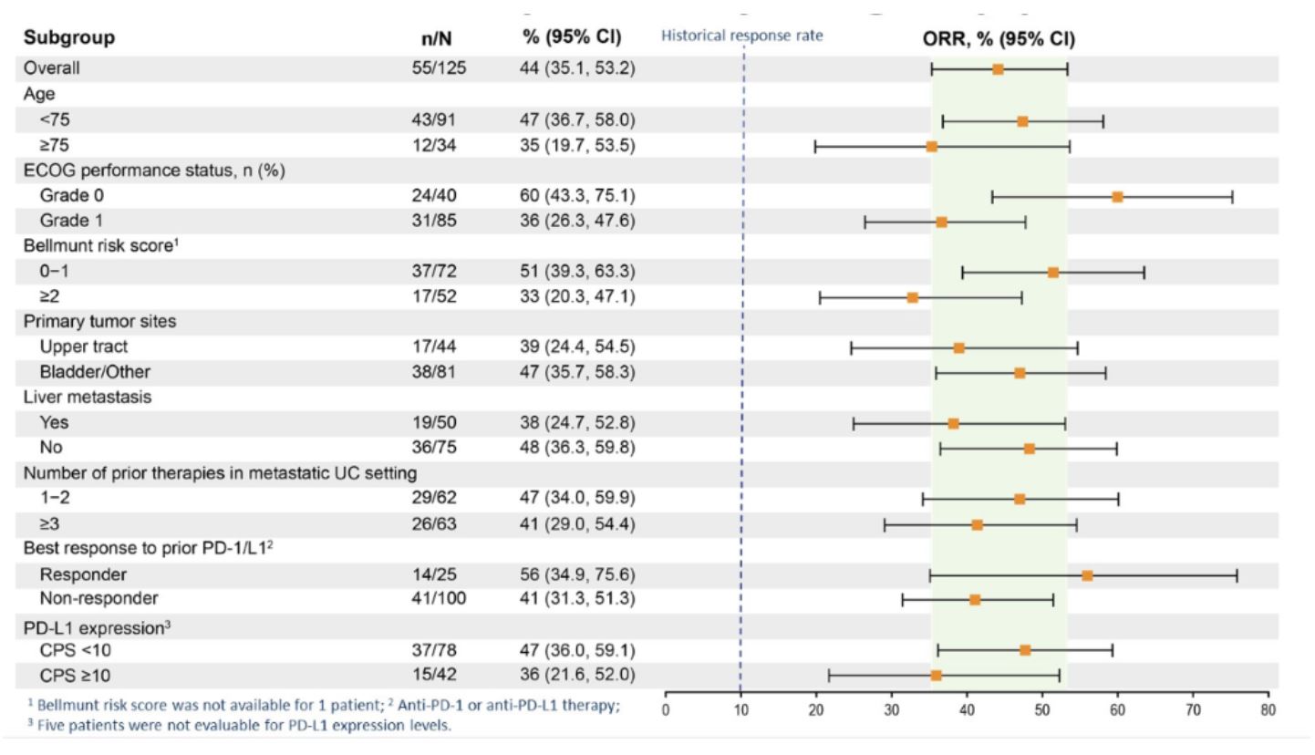 ASCO 2019 EV 201 subgroup analysis