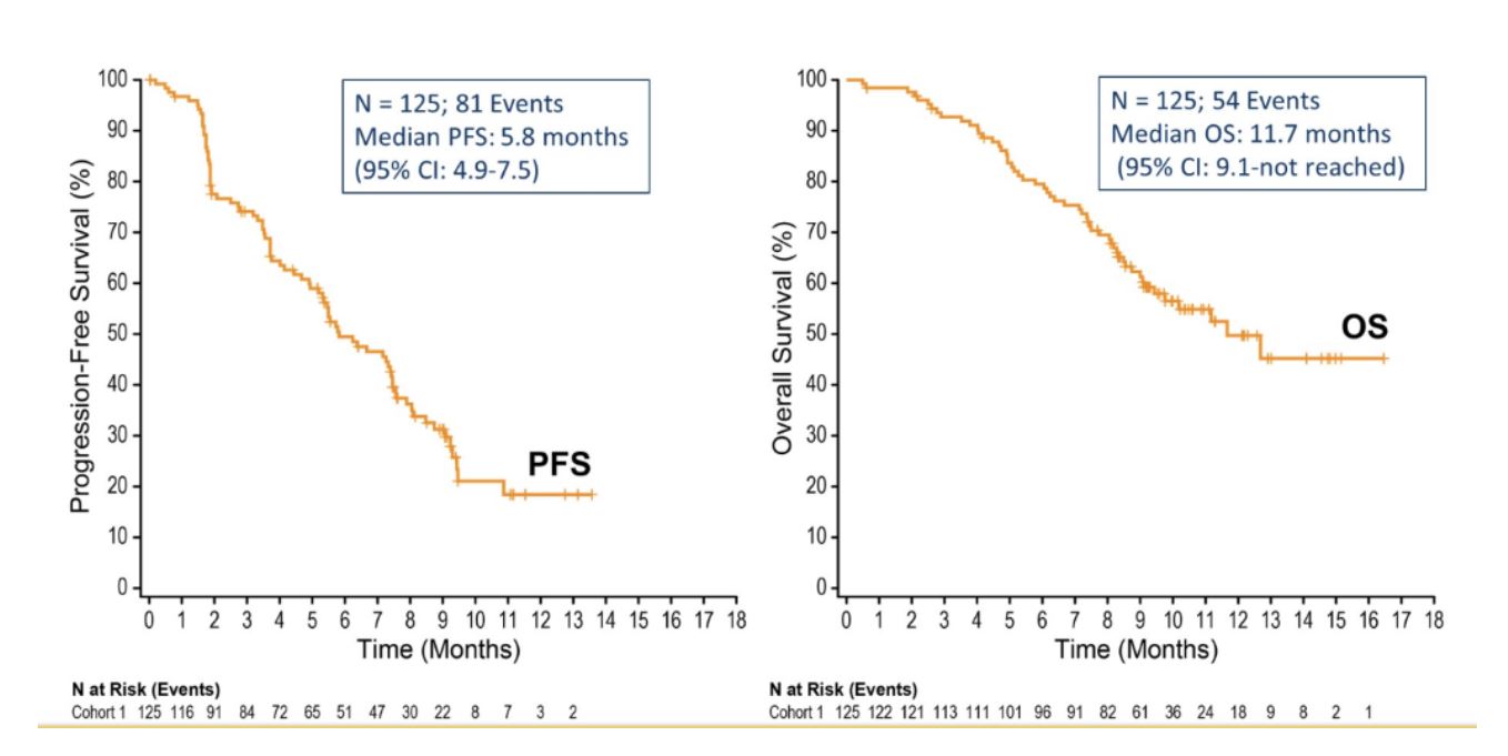 ASCO 2019 EV PFS graph
