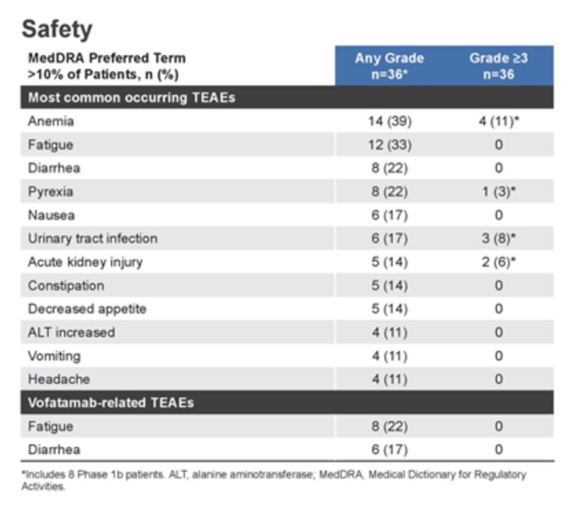 ASCO 2019 FIERCE 22 safety table