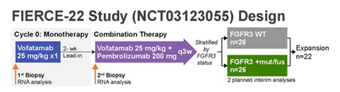 ASCO 2019 FIERCE 22 study