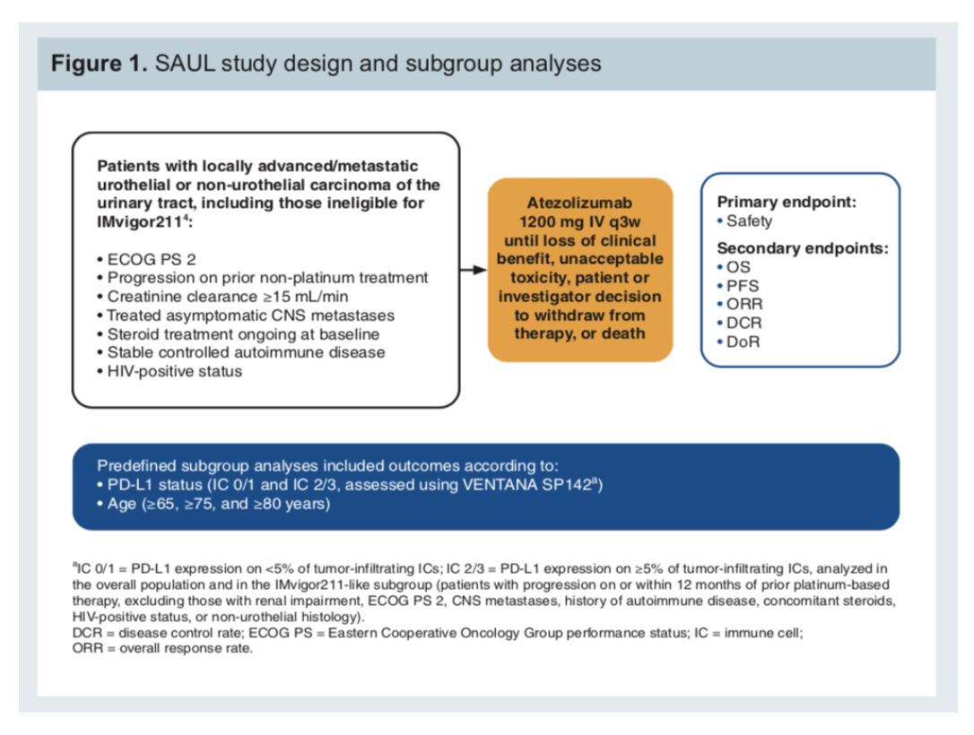ASCO 2019 SAUL study design