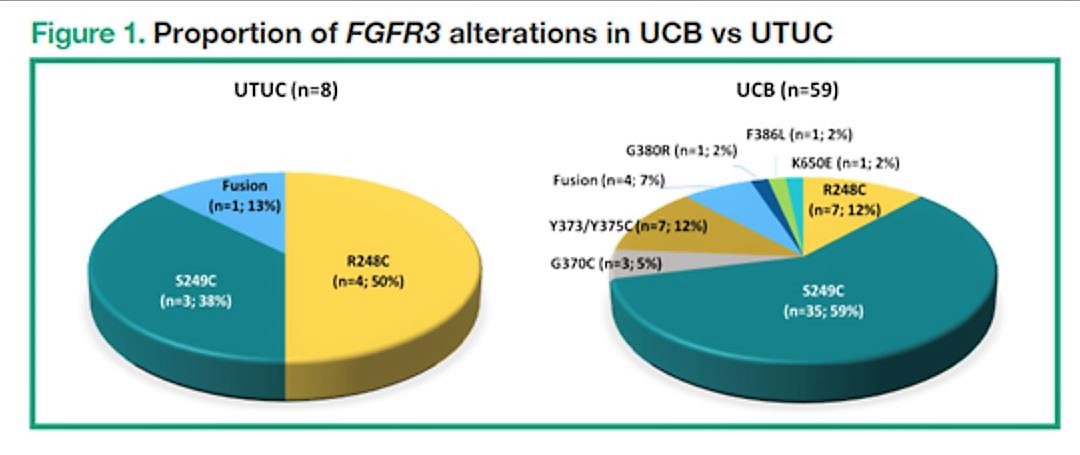 ASCO 2019 fig 1 UCB vs UTUC
