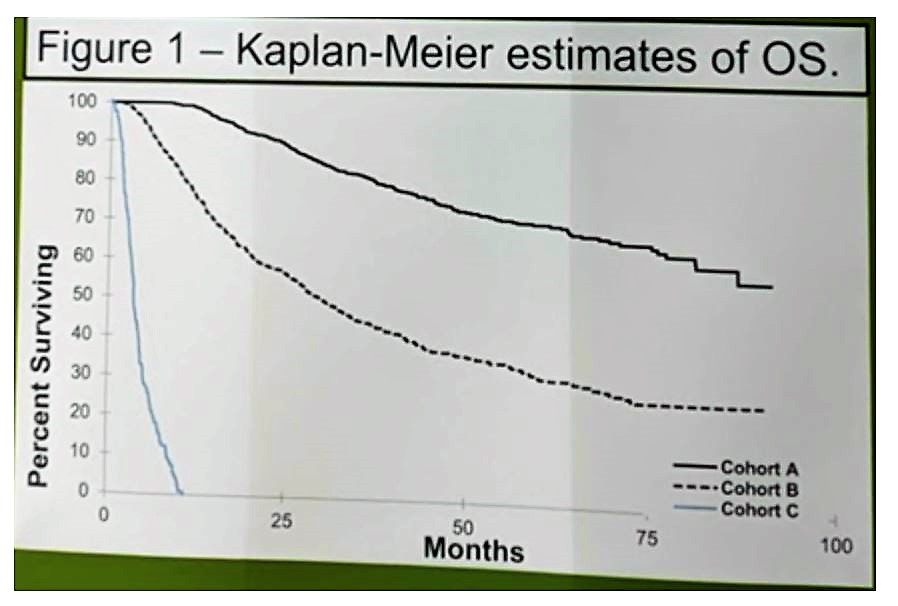 ASCO 2019 fig 1 kaplan meier graph OS