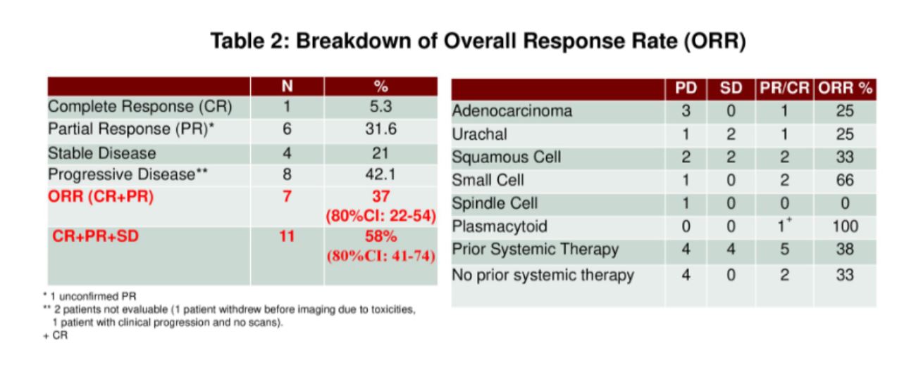 ASCO 2019 nivo bladder breakdown of ORR