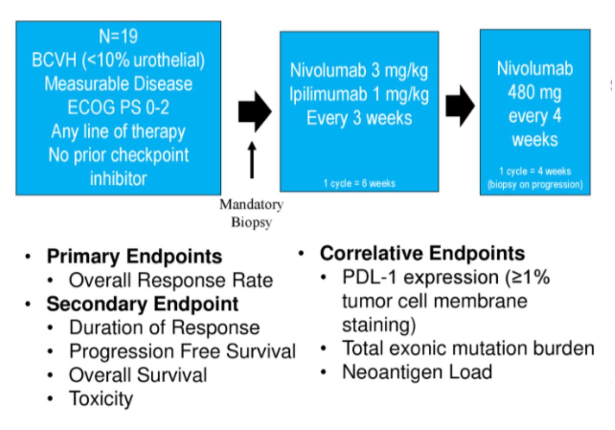 ASCO 2019 nivo bladder endpoints