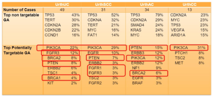 ASCO_FGFR1-3.png