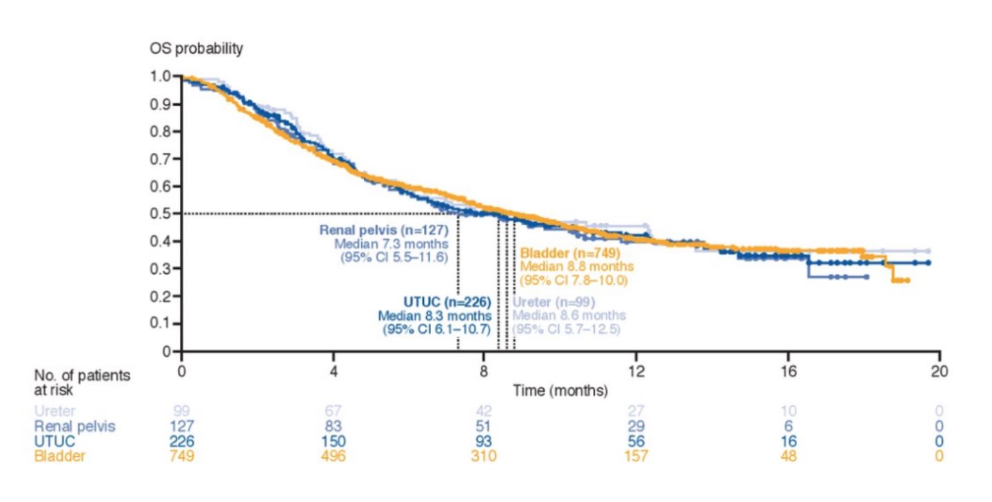 ASCO GU 2020 OS probability vs time