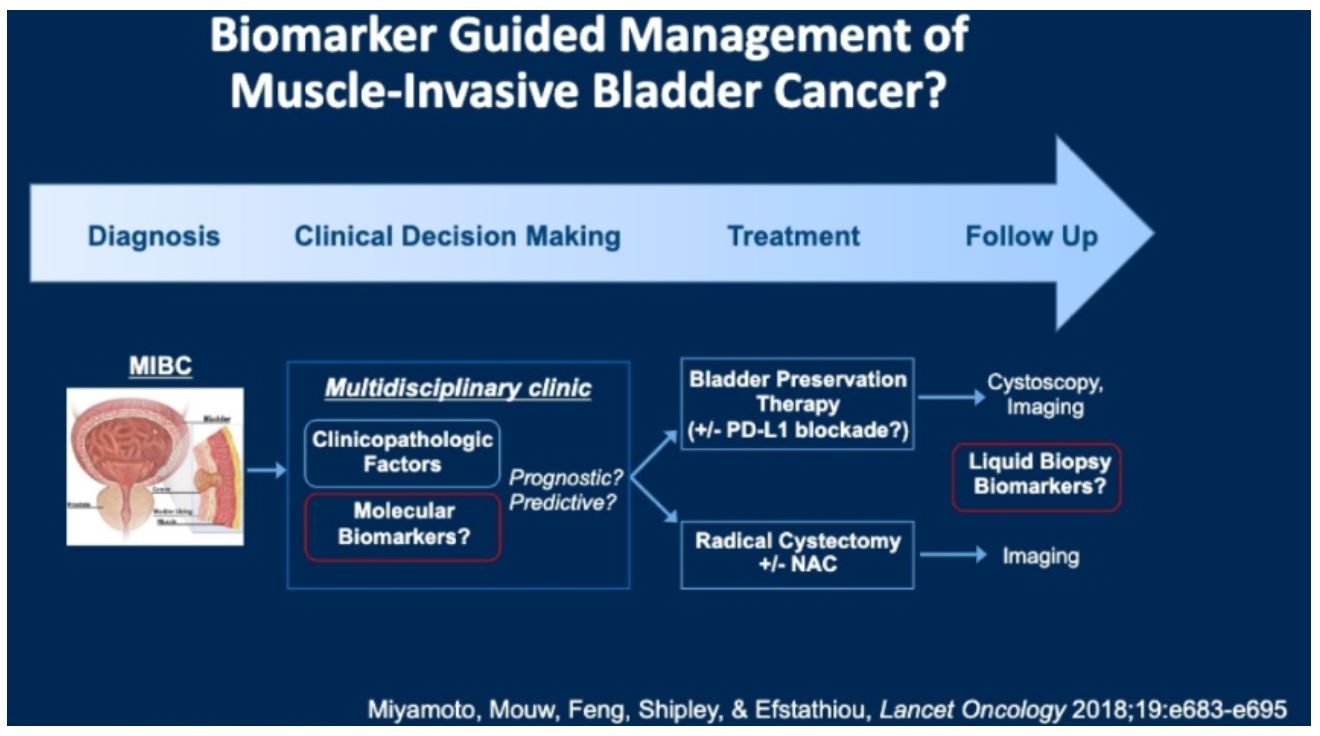 ASCO GU 2020 biomarker guided management
