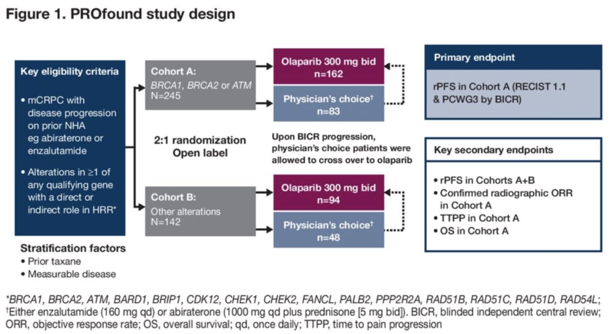 ASCO GU 2020 fig 1 PROfound study design