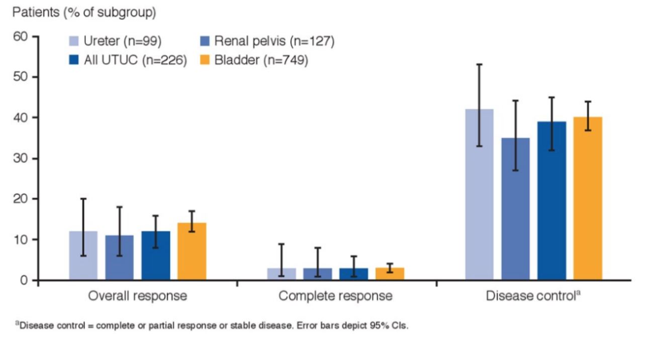 ASCO GU 2020 pt subgroup percentage