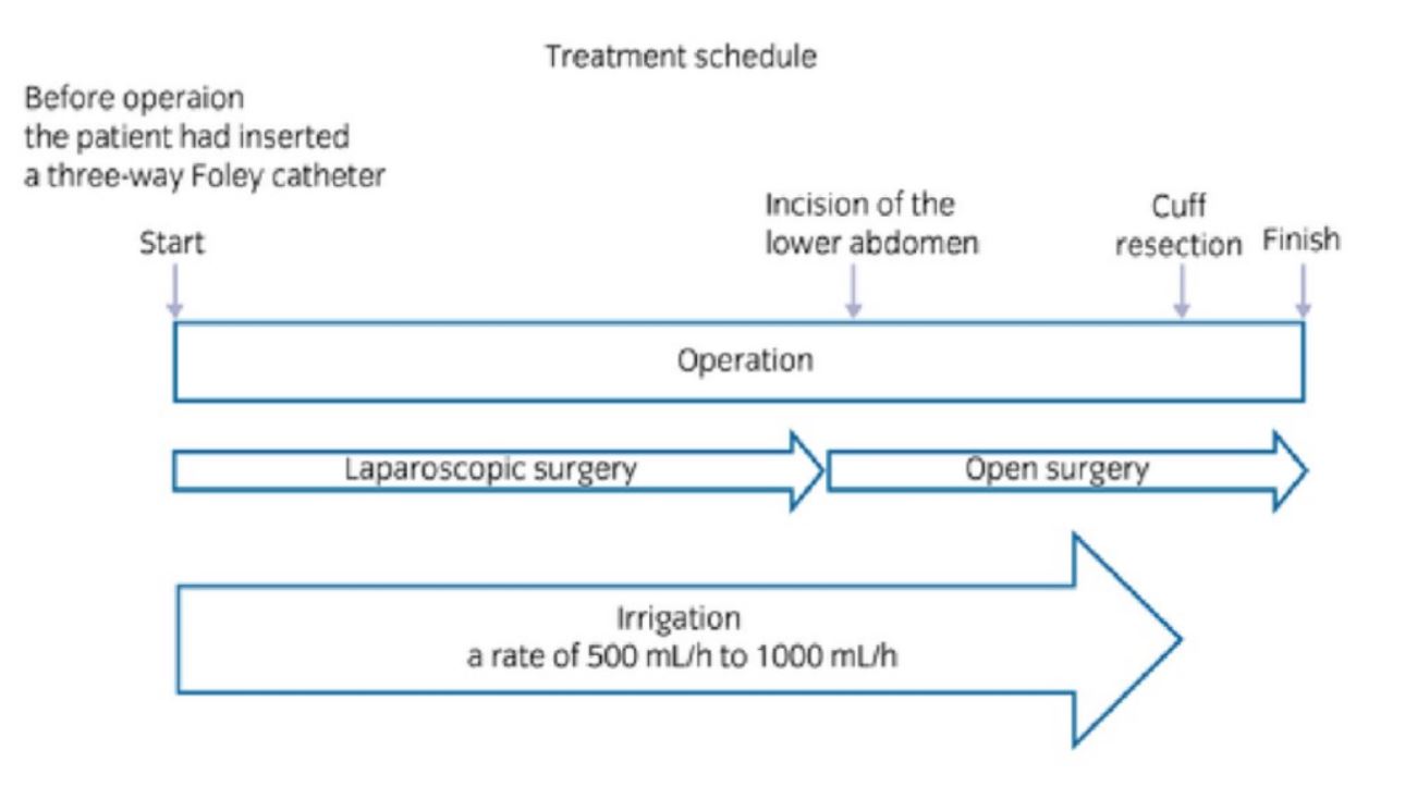 ASCO GU 2020 treatment schedule