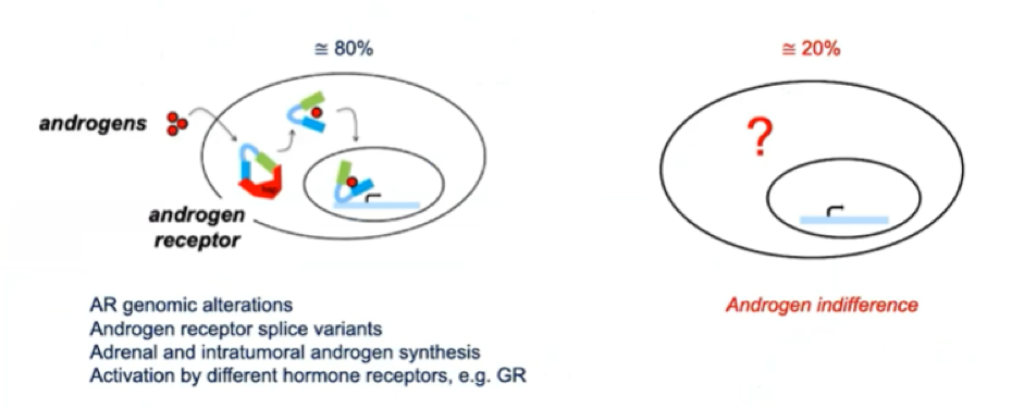 ASCO_mutational_phenotype.png