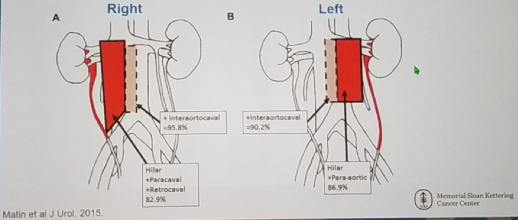 AUA2019_POUT_4.png